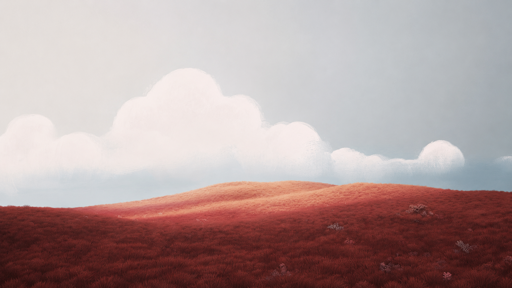 An open field under a wide sky at the end of the day